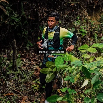 Runner Photo 8393551