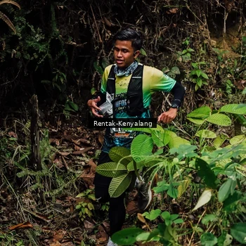 Runner Photo 8393552