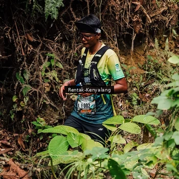 Runner Photo 8393559