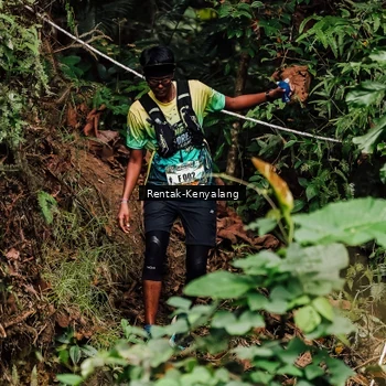 Runner Photo 8393562