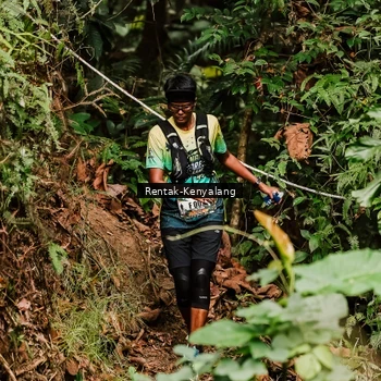 Runner Photo 8393563