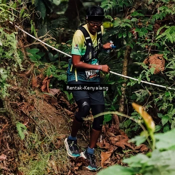 Runner Photo 8393566