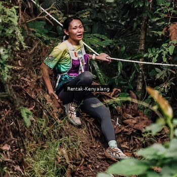Runner Photo 8393605