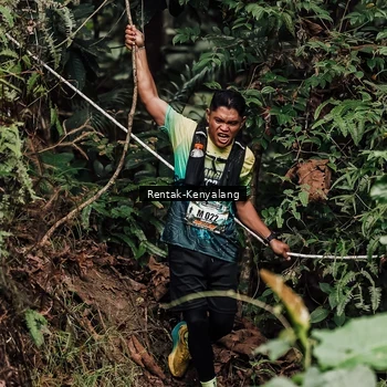 Runner Photo 8393609