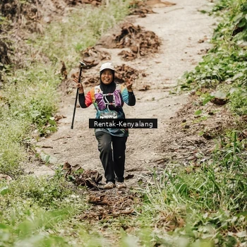 Runner Photo 8393620