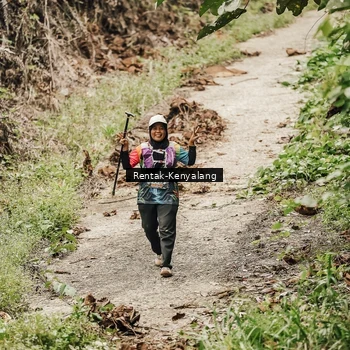 Runner Photo 8393623