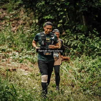 Runner Photo 8393628