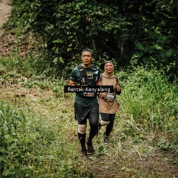 Runner Photo 8393629