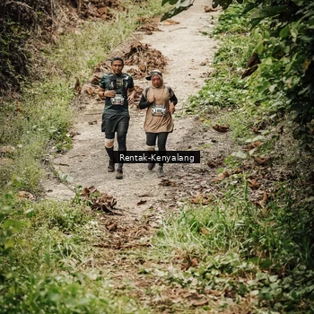 Runner Photo 8393634