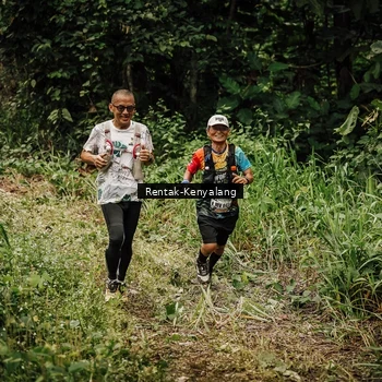 Runner Photo 8393647