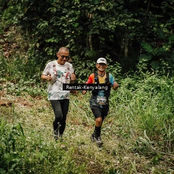 Runner Photo 8393650