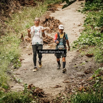 Runner Photo 8393655