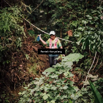 Runner Photo 8393659