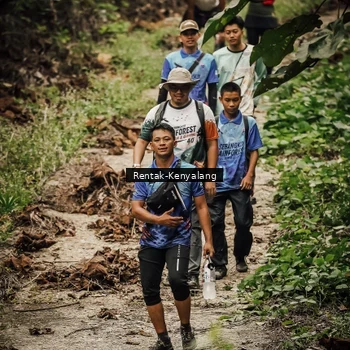 Runner Photo 8393730