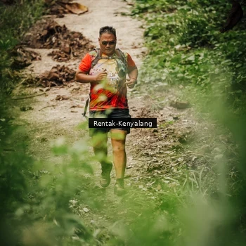 Runner Photo 8393734