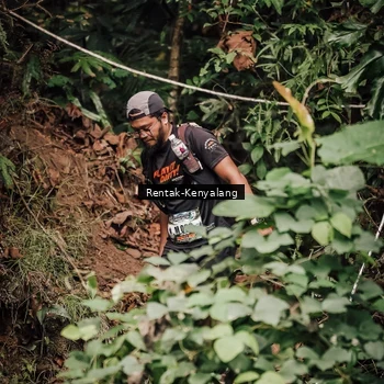 Runner Photo 8393740