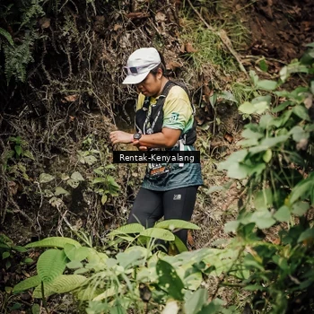 Runner Photo 8393750