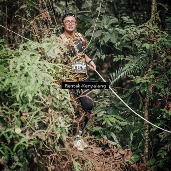Runner Photo 8393757