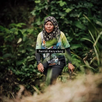 Runner Photo 8393763