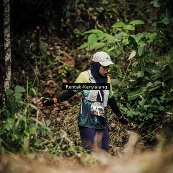 Runner Photo 8393773