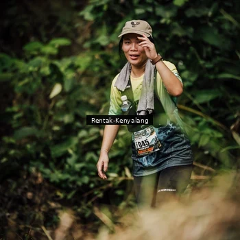 Runner Photo 8393788