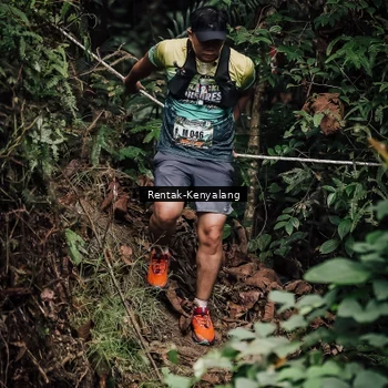 Runner Photo 8393800