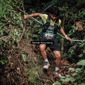 Runner Photo 8393810