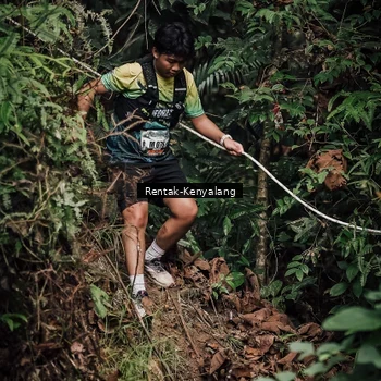 Runner Photo 8393813