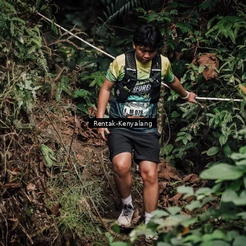 Runner Photo 8393815