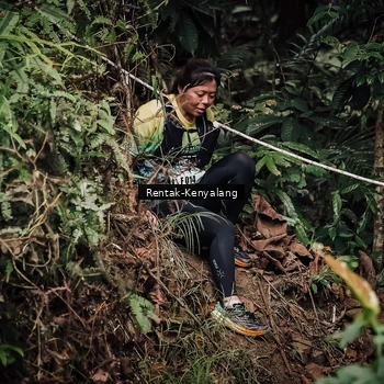 Runner Photo 8393855