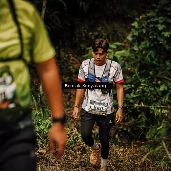 Runner Photo 8393870