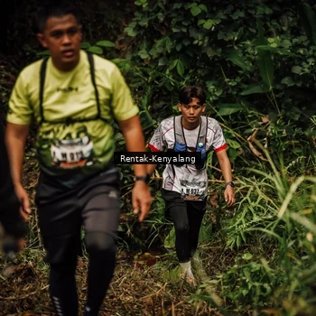 Runner Photo 8393874