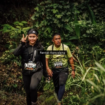 Runner Photo 8393876