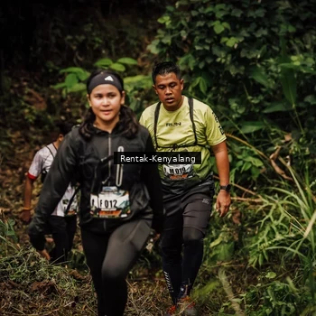 Runner Photo 8393877