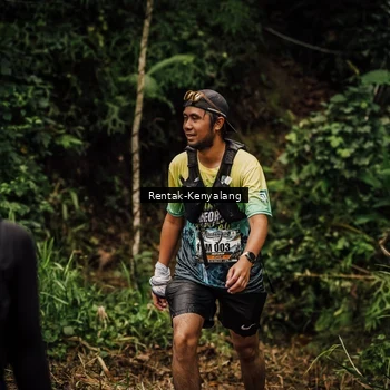 Runner Photo 8393879
