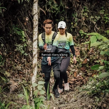 Runner Photo 8393891