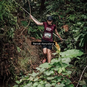Runner Photo 8394034