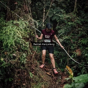 Runner Photo 8394039