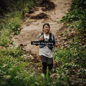 Runner Photo 8394041