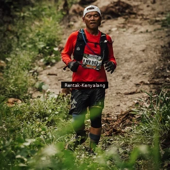 Runner Photo 8394042