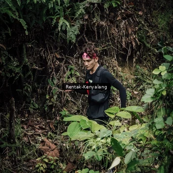 Runner Photo 8394049
