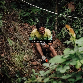 Runner Photo 8394053