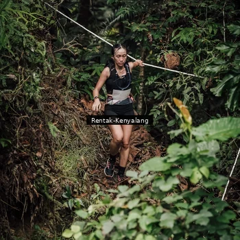 Runner Photo 8394054