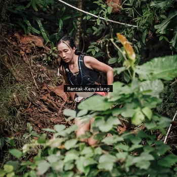 Runner Photo 8394055