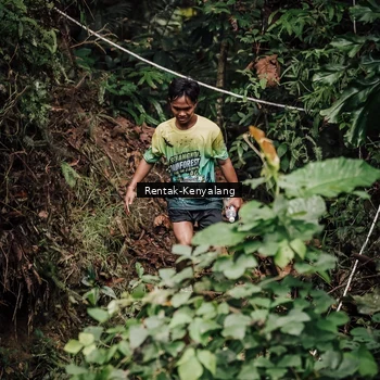 Runner Photo 8394056