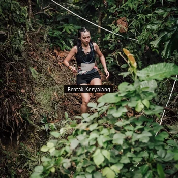 Runner Photo 8394057
