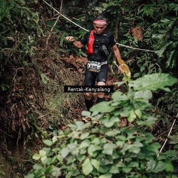 Runner Photo 8394063