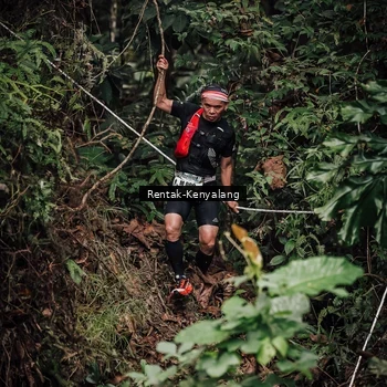 Runner Photo 8394065