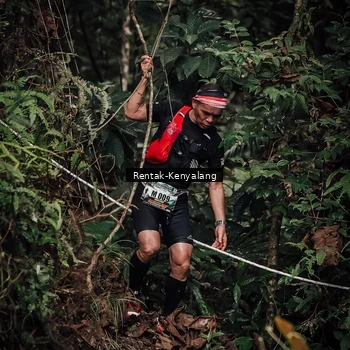 Runner Photo 8394067