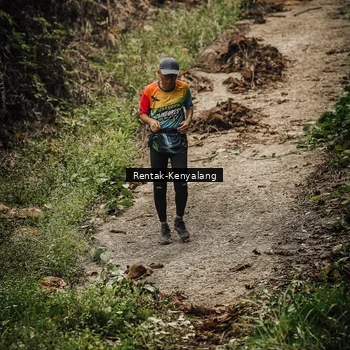Runner Photo 8394071